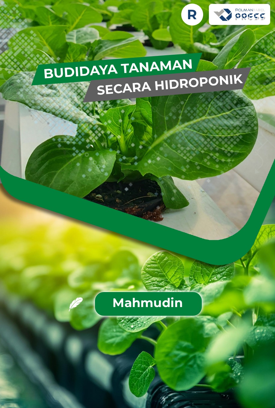 Budidaya Tanaman Secara Hidroponik
